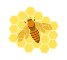 Honey bee on honeycomb. Vector illustration, icon.