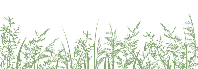 Grass border. Seamless pattern with hand drawn wild meadow grasses, silhouettes of herbs and flowers