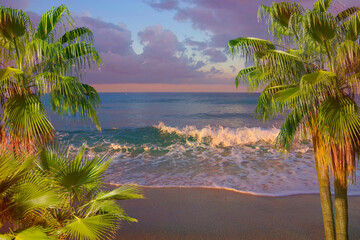 View of the morning sea through thickets of tropical plants and palm trees.