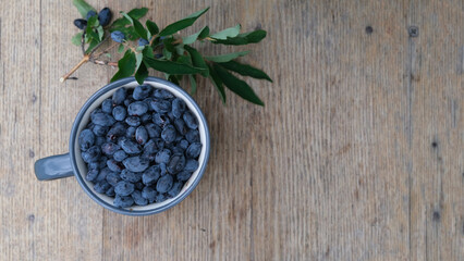 Blue honeysuckle in metal mug on wood background. Fresh honeysuckle berries harvest from berry farm.