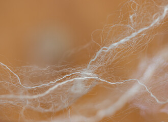 white thin natural threads of silk as a background