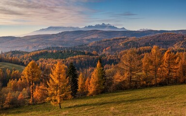 Fototapeta premium View of the High Tatras at sunset with an orange-colored spruce forest during the autumn sunset. High tatras ( Vysoke Tatry ), Levocske vrchy, Slovakia. Beautiful autumn mountains landscape.