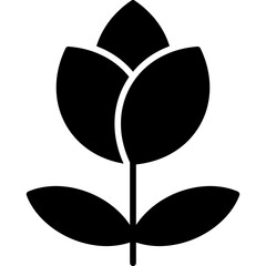 Flower Icon