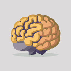 Human brain vector illustration flat style hand drawn