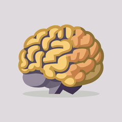 Human brain vector illustration flat style hand drawn