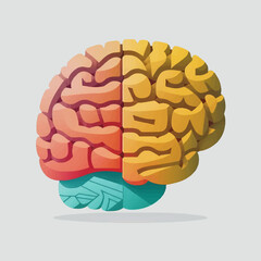 Human brain vector illustration flat style hand drawn