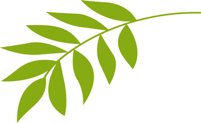 Leaf Illustration