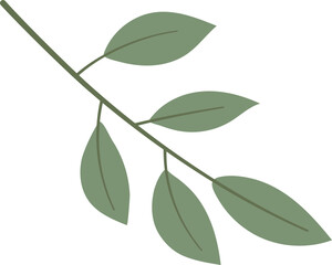Leaf Illustration