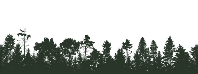 Coniferous and deciduous beautiful forest, silhouette of firs, pines and different deciduous trees. Vector illustration.