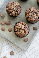 Double Chocolate muffins homemade baked close up selective focus