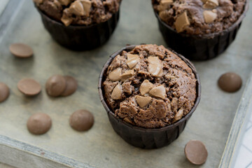 Double Chocolate muffins homemade baked close up selective focus
