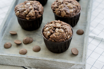 Double Chocolate muffins homemade baked close up selective focus