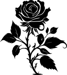 black rose transparent background - Generative AI