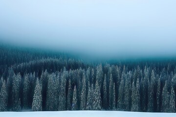 Serene Snowy Forest in the Heart of Winter.