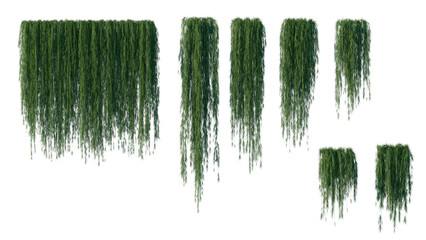 beautiful ivy green and flower