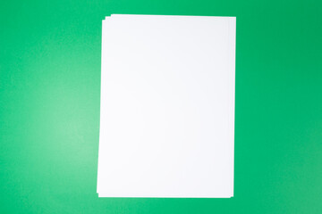 empty white paper sheet and a pen on green background. Mockup