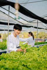 Researcher team in white uniform are checking with ph strips in hydroponic farm and pH level scale graphic, science laboratory greenhouse concept.