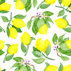 Seamless floral pattern-222, watercolour illustration, hand drawn. Lemon tree branches in bloom, lemon fruits, white background.