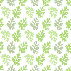 Naklejka na ściany i meble Green coriander leaves pattern on white background, flat vector. 
