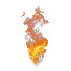 Garden poster Fire Natural fire flame png on white background 