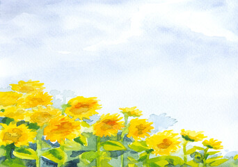 Watercolor painting. Sunflower field landscape