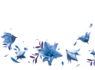 Foto op Canvas Beautiful floral overlay with flying blue flowers and petals, border,  isolated on transparent background © VICUSCHKA