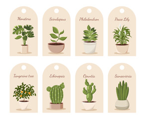 Labels with home plants in the eco style. Home decor and gardening concept. Flower shop. Sansevieria, tangerine, cactus, monstera, peace lily. Cute isolated vector illustration for product design.