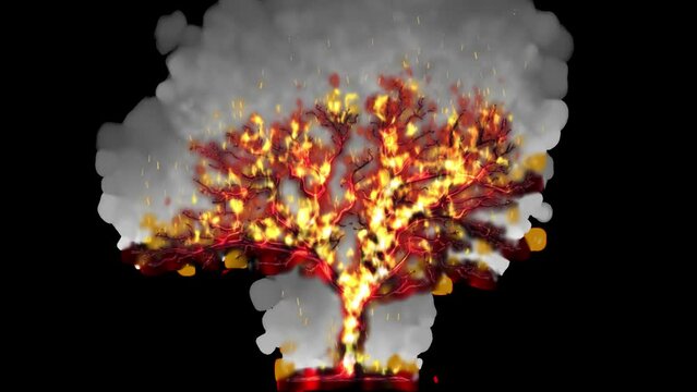 Looped Hot Burning Tree Animation with Alpha Channel