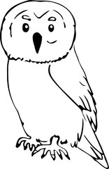 Owl sketch