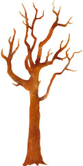 dry tree watercolor png