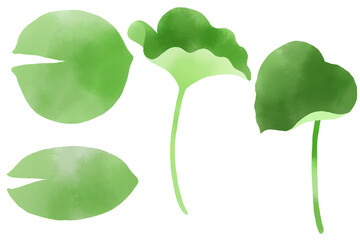 水彩で描いた睡蓮の葉っぱのパーツ素材セット／Water lily leaf parts material set drawn by watercolor