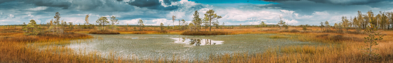 Miory District, Vitebsk Region, Belarus. Panoramic View On Yelnya Nature Reserve. Yelnya Reserve or Elnya Is Biggest Swamp Complex In Belarus. Bright Colored Dramatic Sky Above Wetland. Yelnya Swamp.