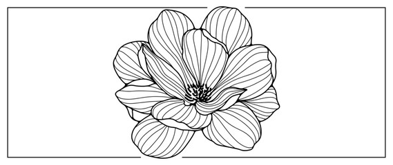 Black and white lotus vector illustration for decor, covers, backgrounds, presentations and coloring books