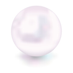 Realistic pearl isolated on a white background