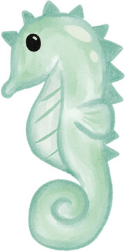 sea ​​horse cute watercolor png