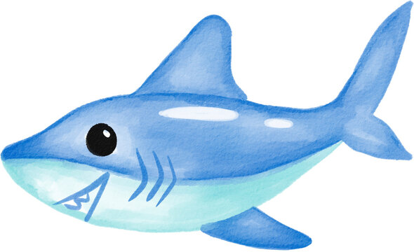 shark cute watercolor png