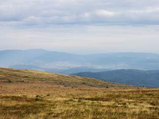 grassy meadow landscape of ukrainian mountains. nature scenery in late summer