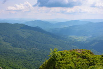 Obraz premium carpathian landscape in summer. view in to the distant valley. travel ukraine