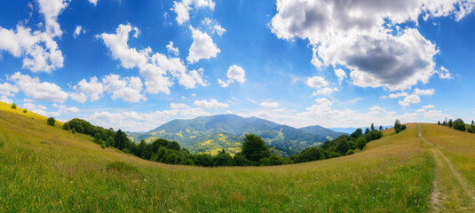 carpathian countryside with grassy meadows. beautiful rolling landscape in summer with stunning sky - obrazy, fototapety, plakaty