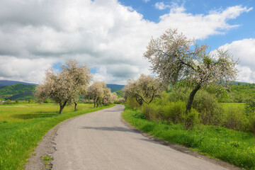Fototapeta na wymiar beauty of spring is captured in the scenic backdrop of the countryside, as the road winds through lush fields and blooming trees. scenery surrounded by the green hills and majestic mountains