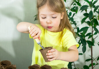 little child planting seeds in pots with soil for seedlings to new spring season, concept of home gardening