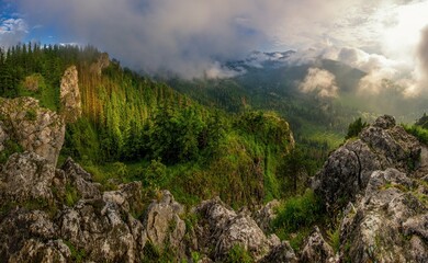 Mount Nosal in the Tatra National Park in Poland. Rocky mountain in Polish Tatra mountains. Beautiful green forests. View towards Kasprowy Wierch peak