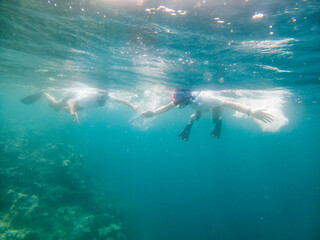couple snorkeling in clear tropical sea