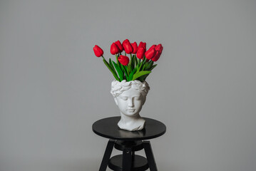 a bouquet of red tulips on a white background