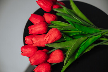 a bouquet of red tulips on a white background