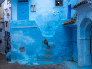blue entrance with a cat sitting on stairs in the city of chefchaouen