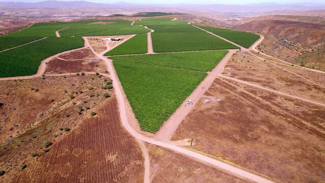 Chilean Limari Valley Vineyards Aerial Above Wine Region, Winemaking Travel Destination in South America, Agriculture Contrast Scenery during Daylight