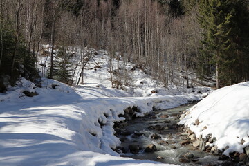 Snow covered trough of a stream. A sunny day. Winter nature.
