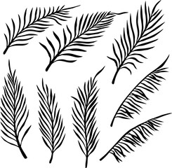 Set of palm leaves. Design element for decorations. Vector illustration