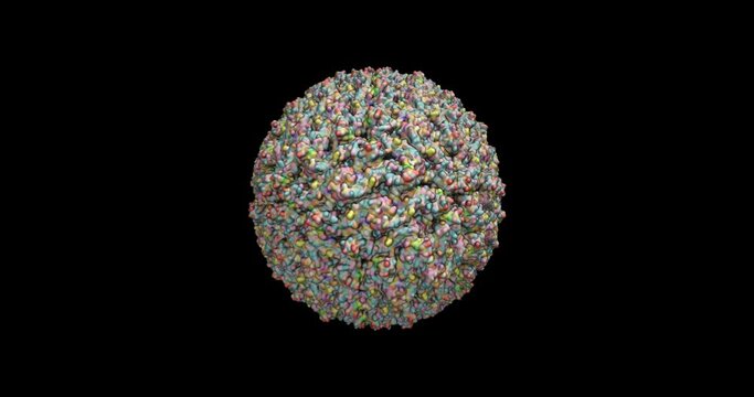 Dengue virus 2 viral particle 3D molecule 4K spinning